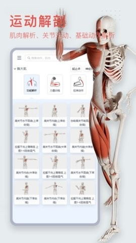 3Dbody解剖app免费版