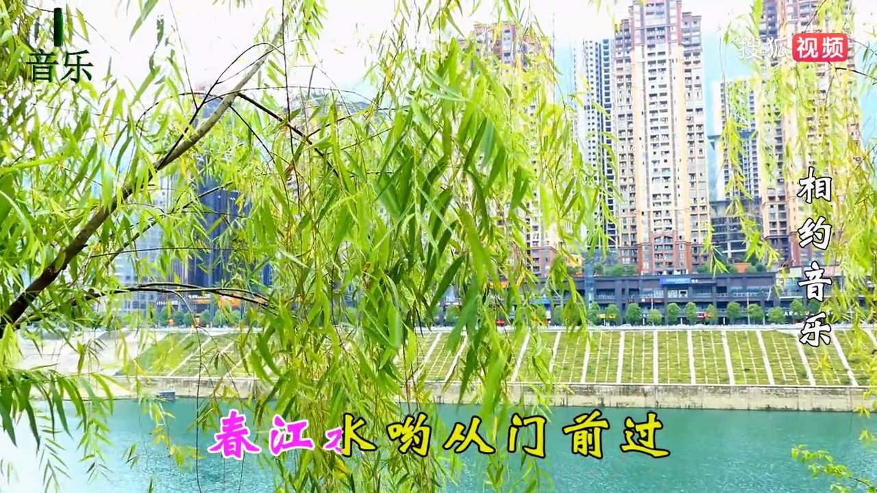 雨露TV
