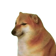 Mango社区