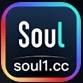 soul猎艳