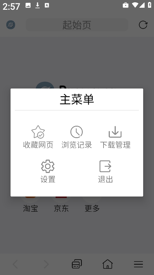 快速浏览器