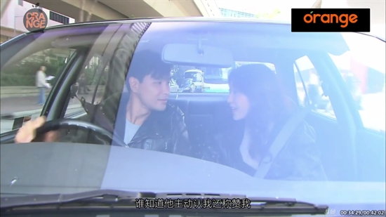 沧海TV纯净版