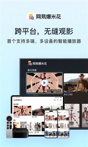 网易爆米花FilmlyTV电视版