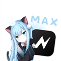 NV MAX
