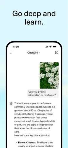 ChatGPT手机版