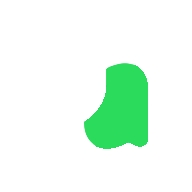 Qoder