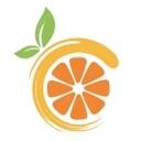Citron模拟器