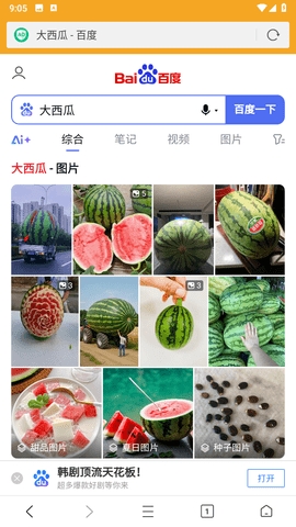 Fiery浏览器