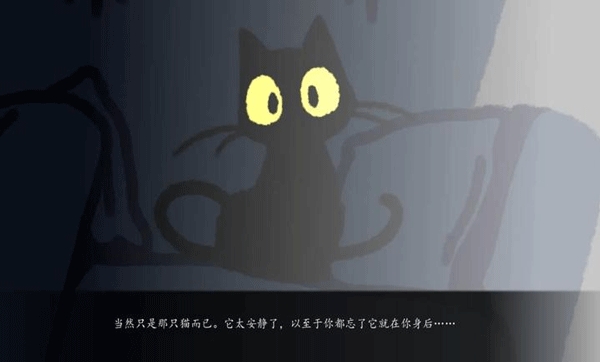 别带这只猫回家