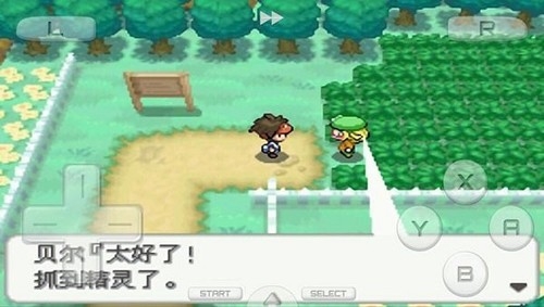 精灵宝可梦白2