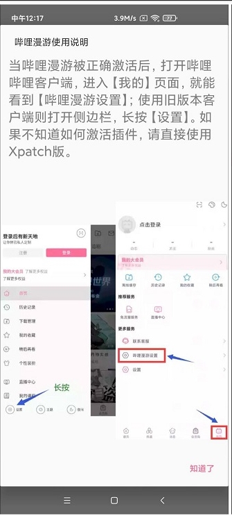 哔哩漫游