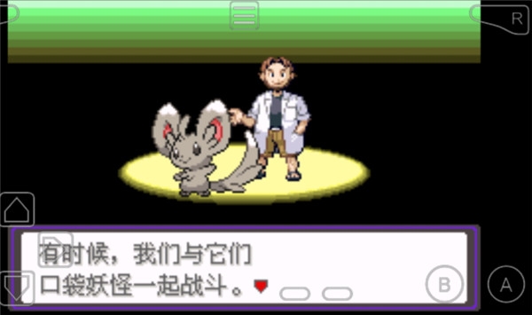 口袋妖怪漆黑的魅影5.0EX