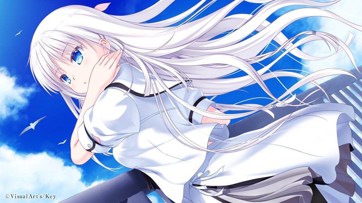 夏日口袋直装版