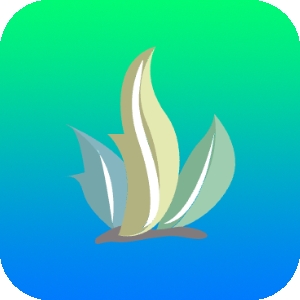 海草助手
