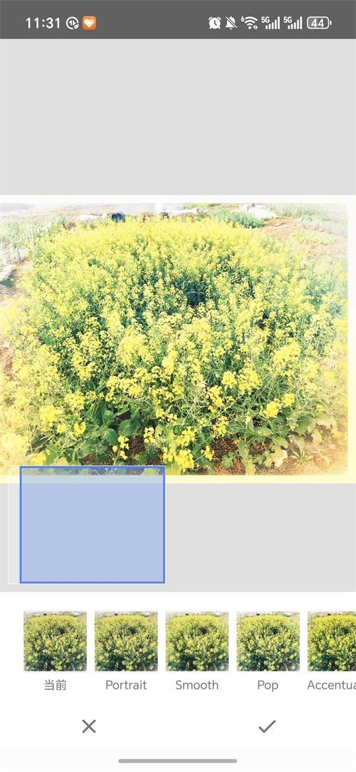 BetterSeed