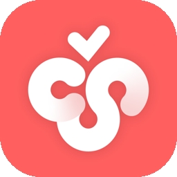 CherryStudio