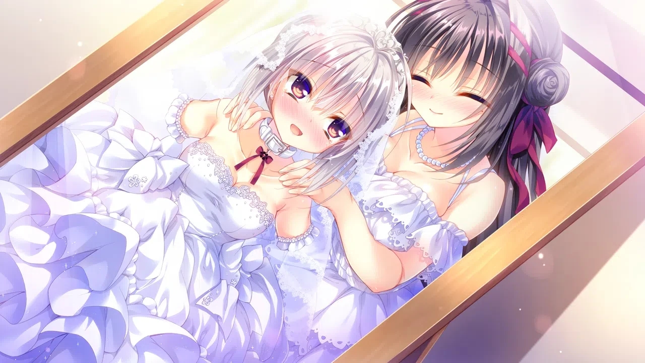 真爱的百合被染成红色