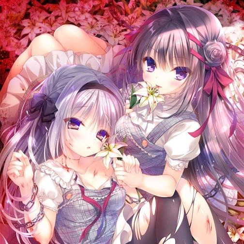 真爱的百合被染成红色