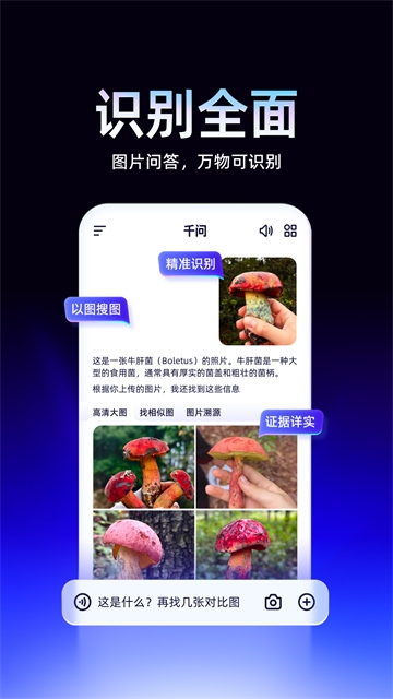 千问app