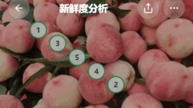 FruitAI
