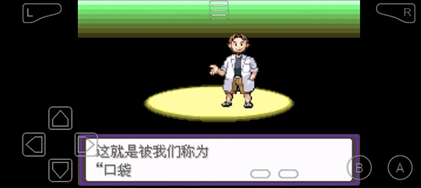 口袋妖怪漆黑的魅影6.0