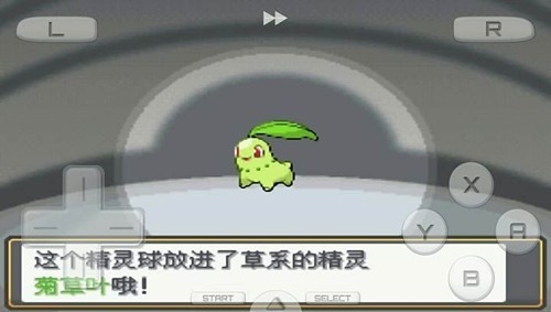 口袋妖怪心金银魂