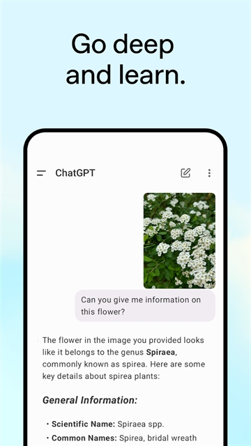 ChatGPT中文版