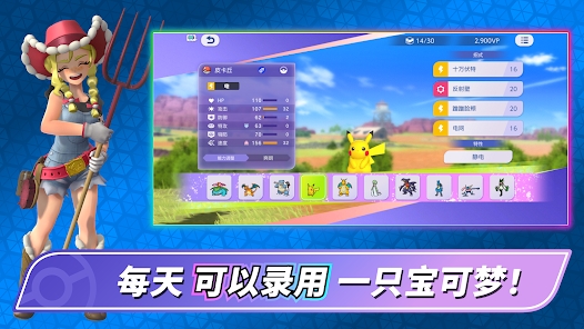 宝可梦冠军国际服