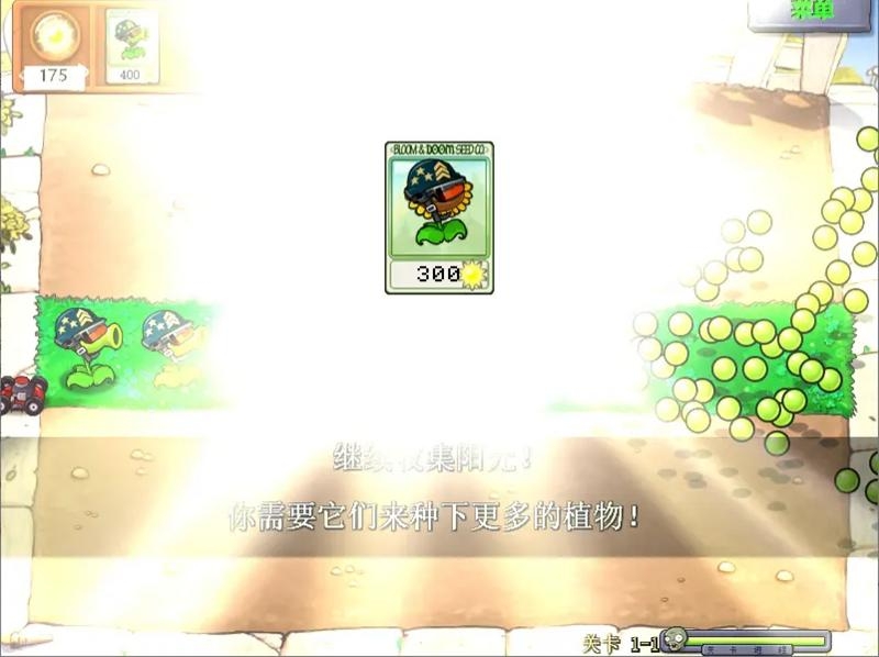 植物大战僵尸大哥版
