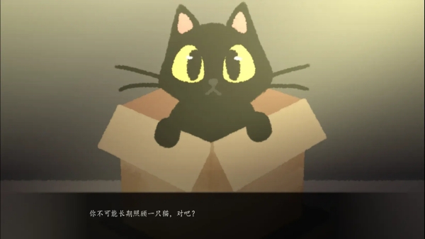 别带这只猫回家手机版