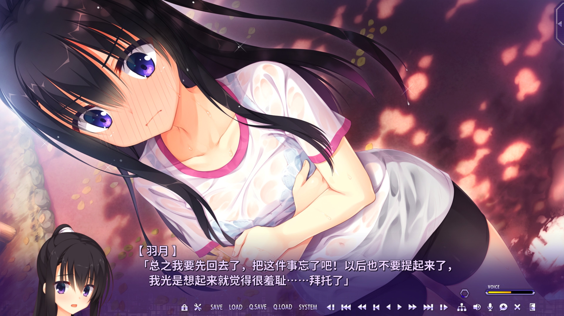 谜语小丑中文版