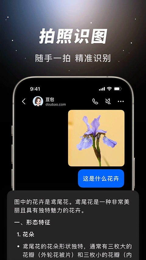 豆包app