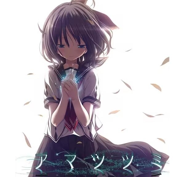 天津罪直装版