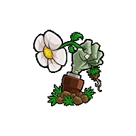 植物大战僵尸神金版