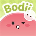 Bodii