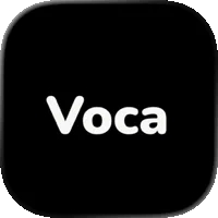 VocaAI